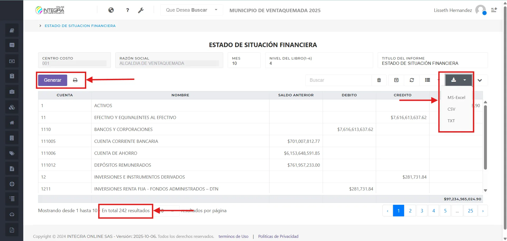 Vsta inicial del reporte Estado de Situación Financiera